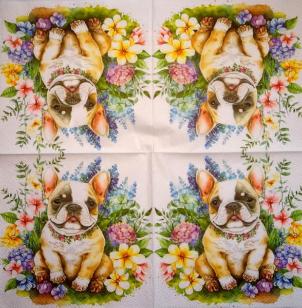 345 Dogs - 3-ply - Specials